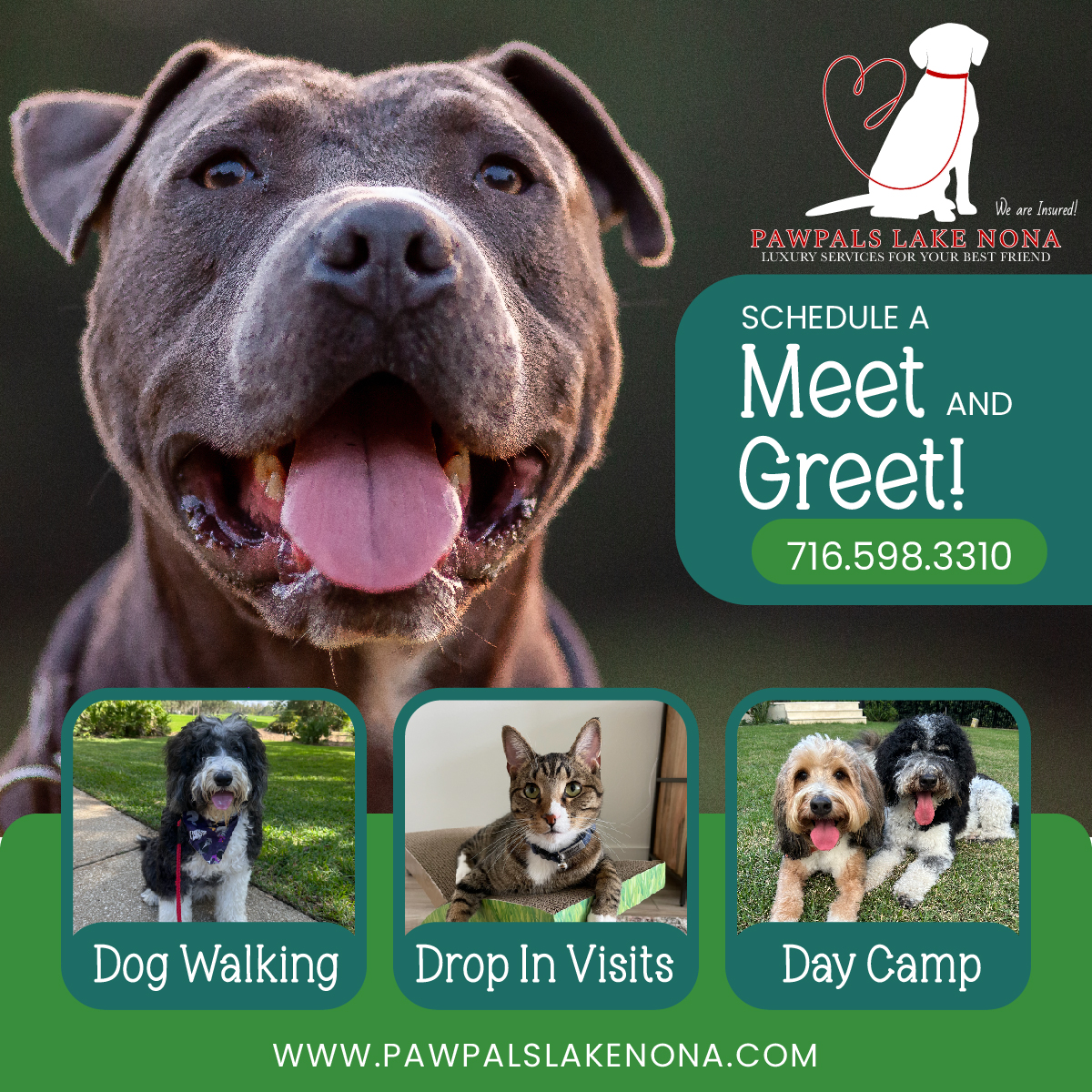 PawPals Lake Nona offers exceptional dog walking, drop in visit, and doggie day camp service.