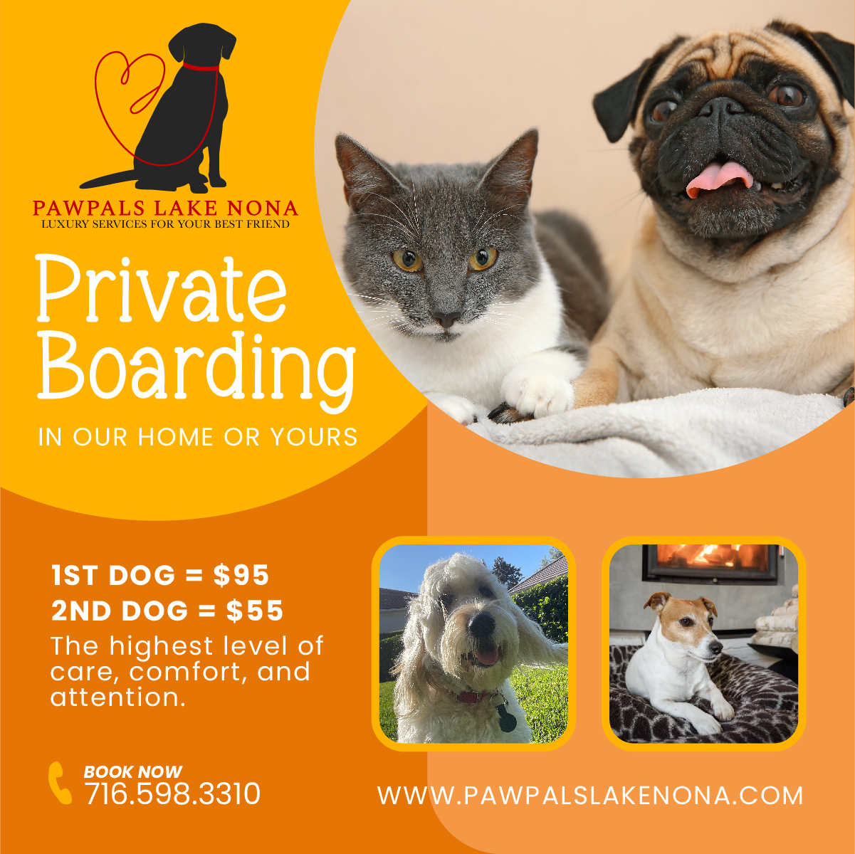 Private Boarding service in our home or in your home. Exceptional pet care.