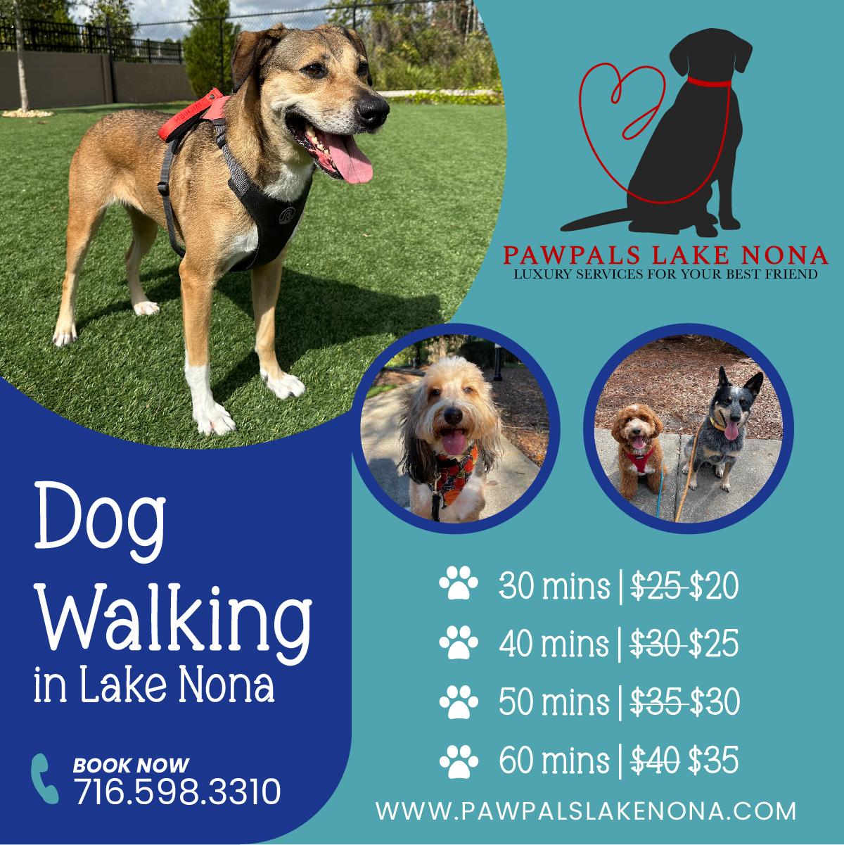 PawPals Lake Nona offers premier dog walking service in Lake Nona, FL.