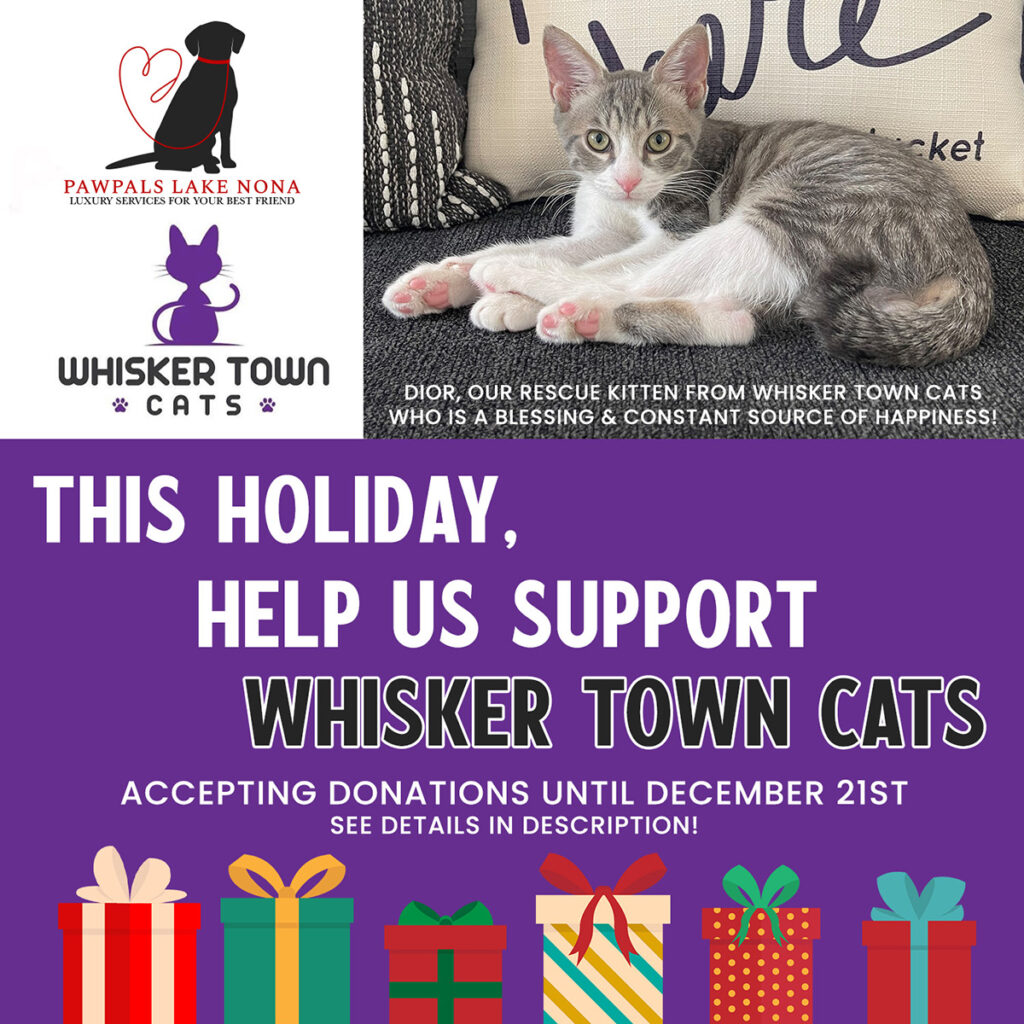 Whisker Town Cats Donations
