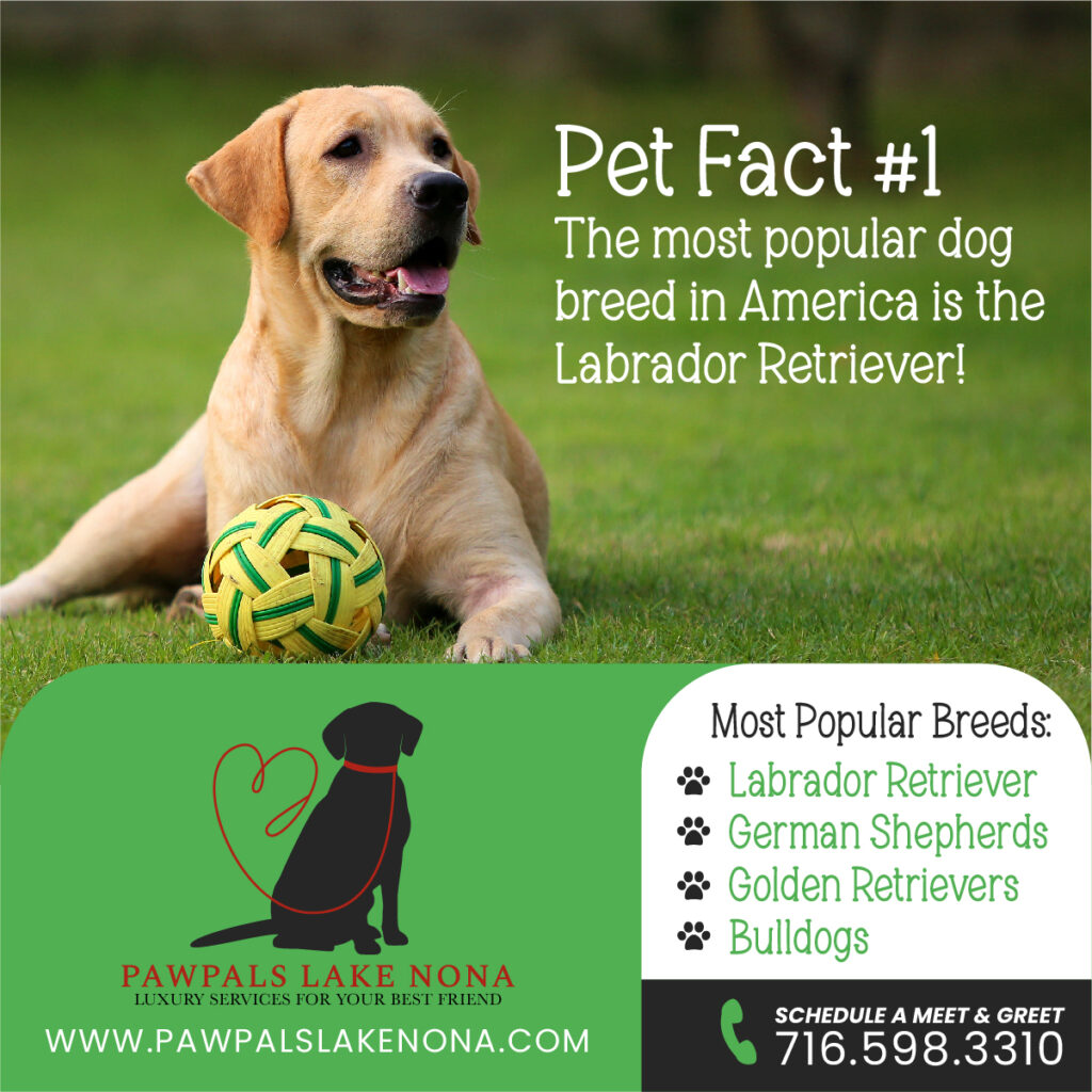 Pet Fact #1