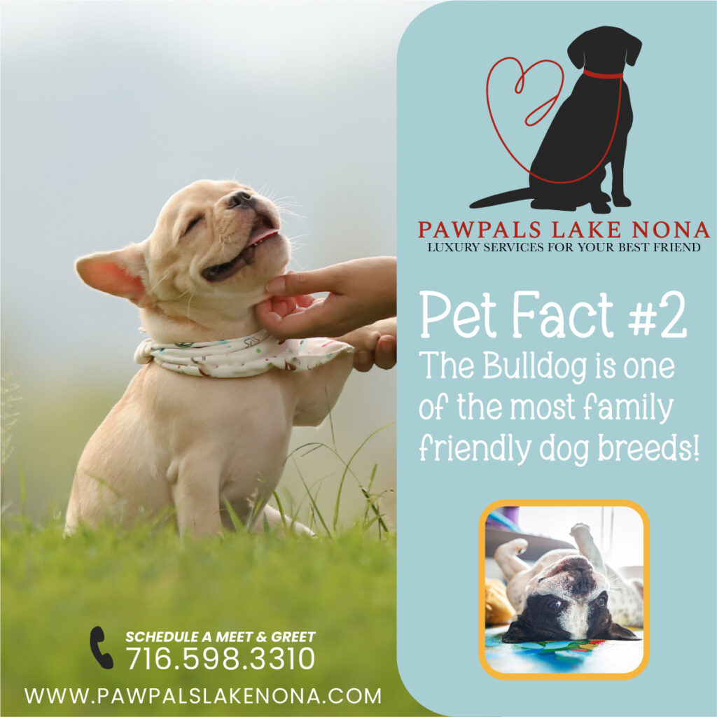 Pet Fact #2
