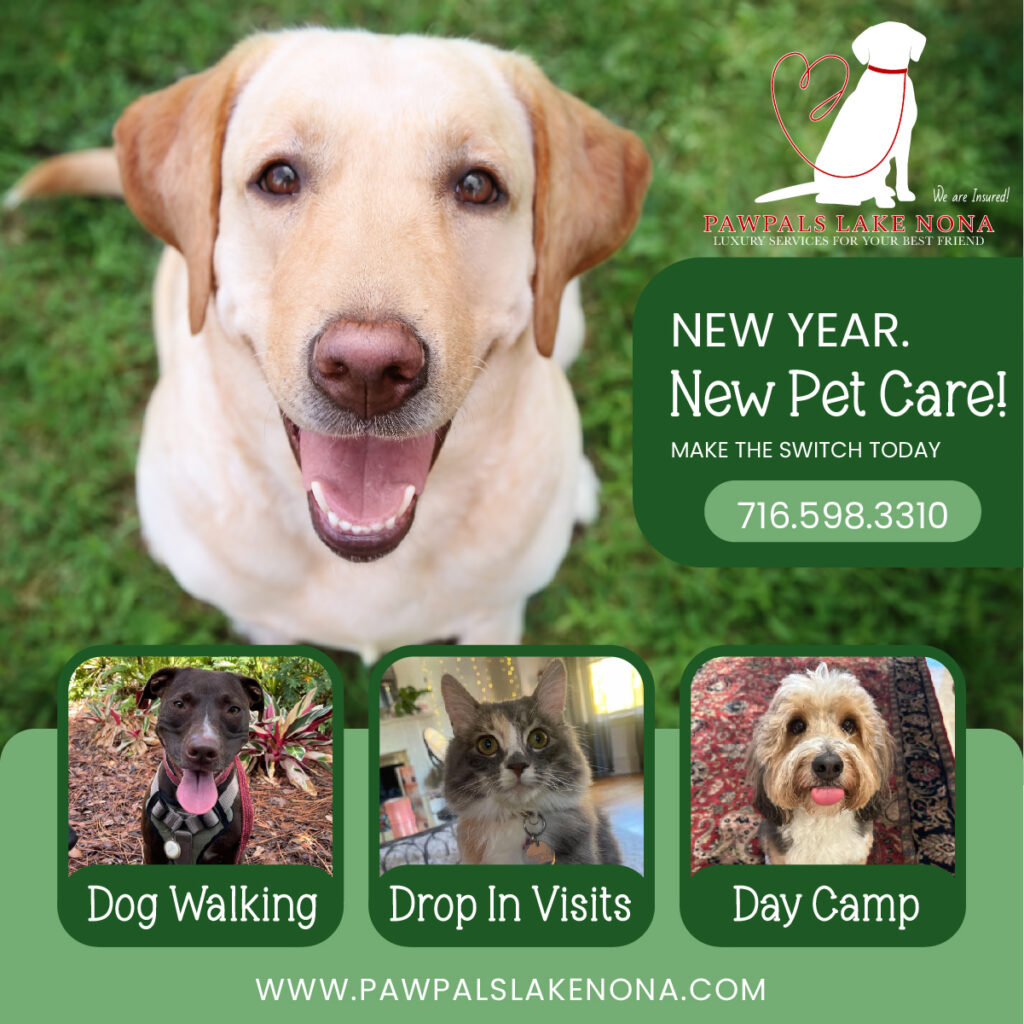 New Year, New Pet Care!