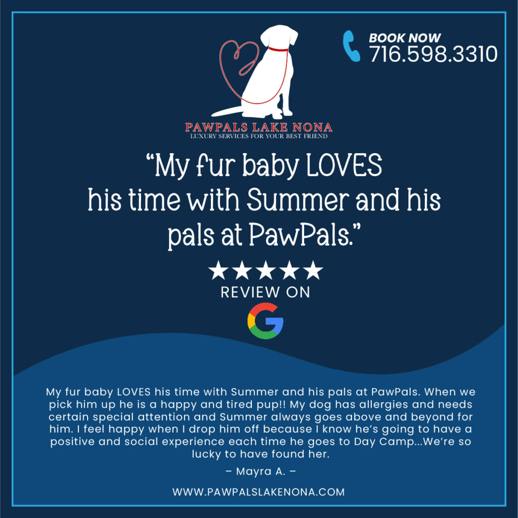 "My fur baby LOVES his time with Summer and his pals at PawPals."