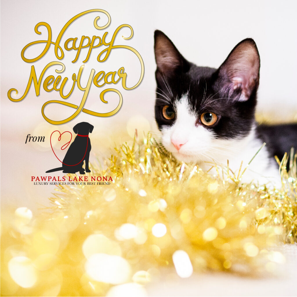 Happy New Year from PawPals Lake Nona!
