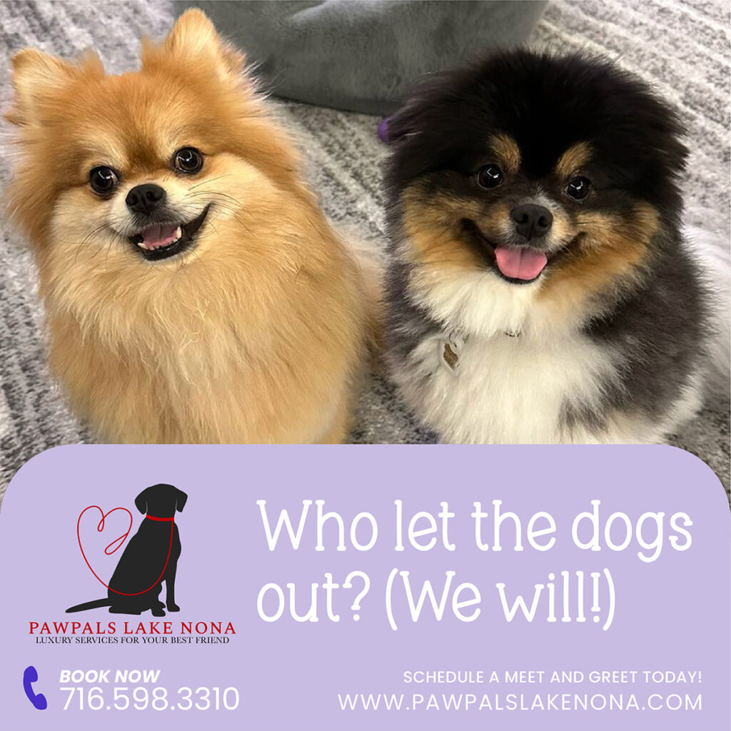 Let PawPals Lake Nona provide exceptional drop in visit service for your pets.