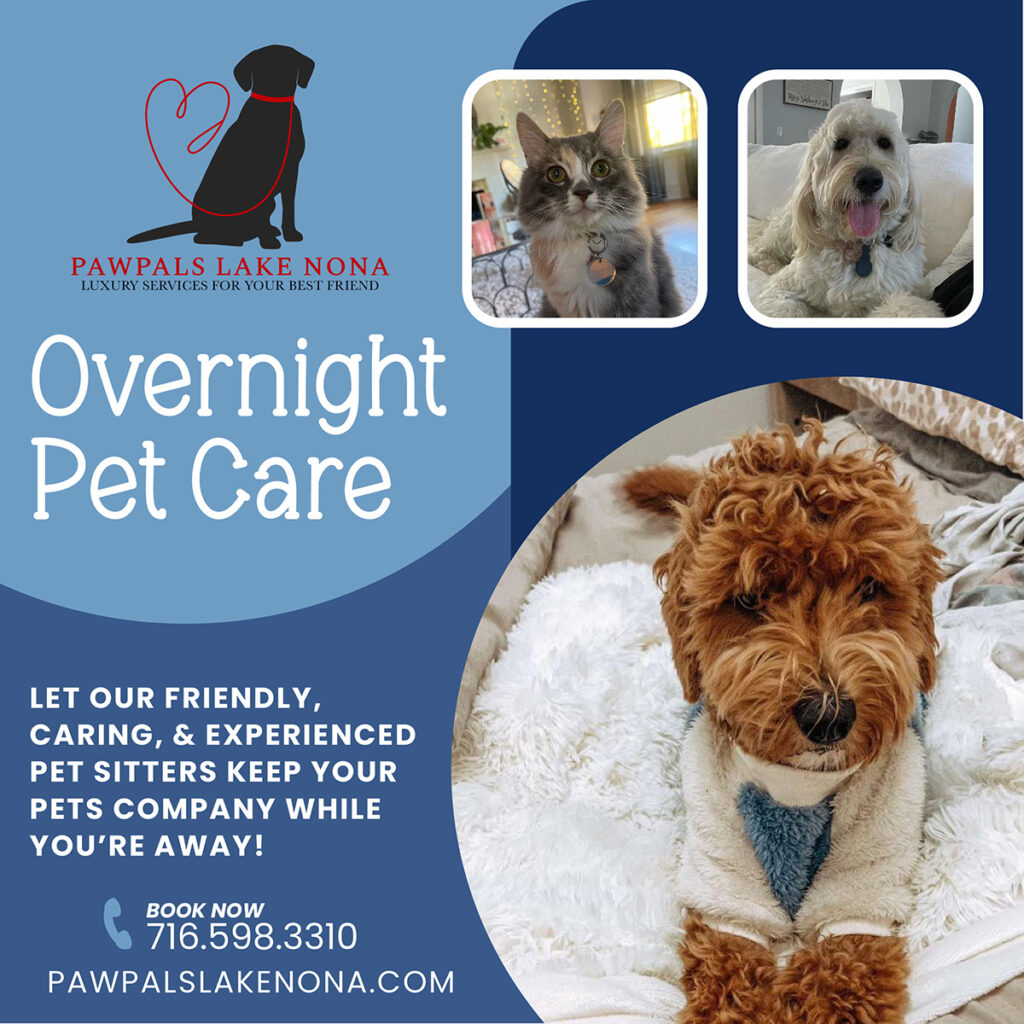 Let PawPals Lake Nona provide overnight pet care while you're away.