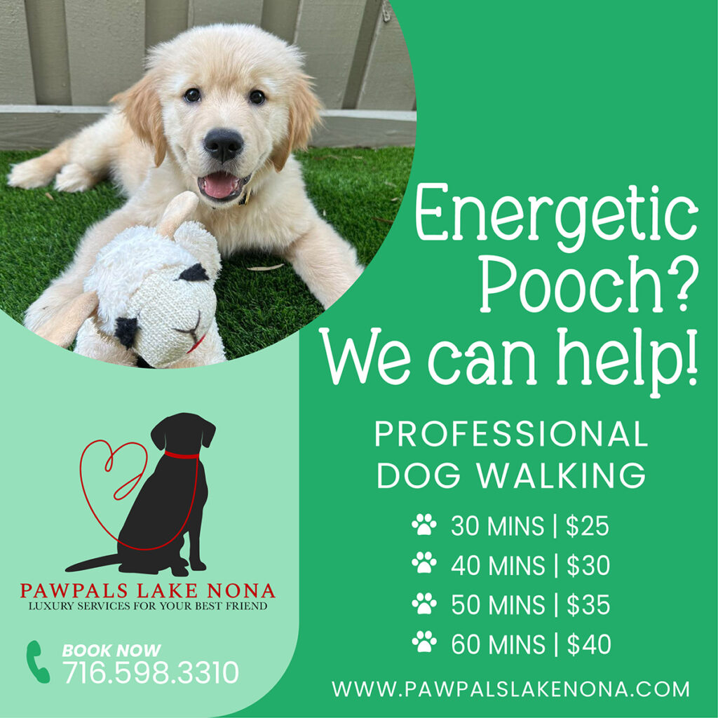 PawPals Lake Nona provides professional dog walking service throughout Lake Nona.