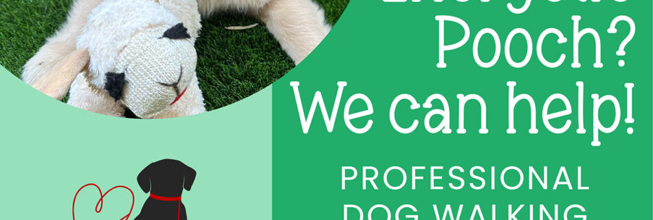 PawPals Lake Nona provides professional dog walking service throughout Lake Nona.