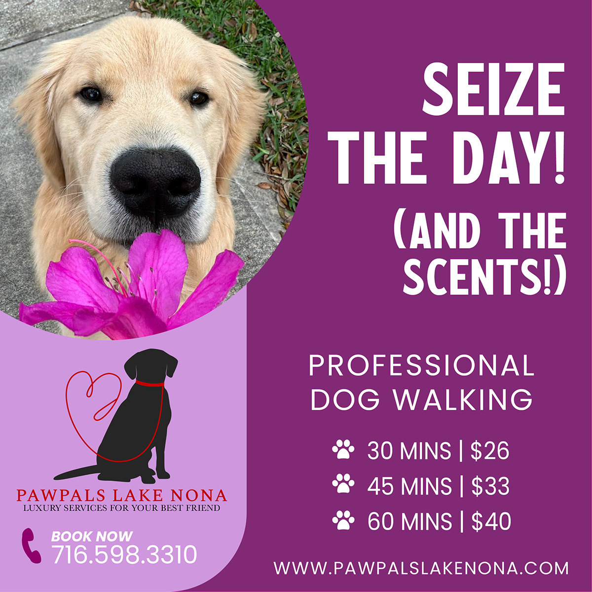 Let the professional dog walkers at PawPals Lake Nona take your pet on a scent walk.