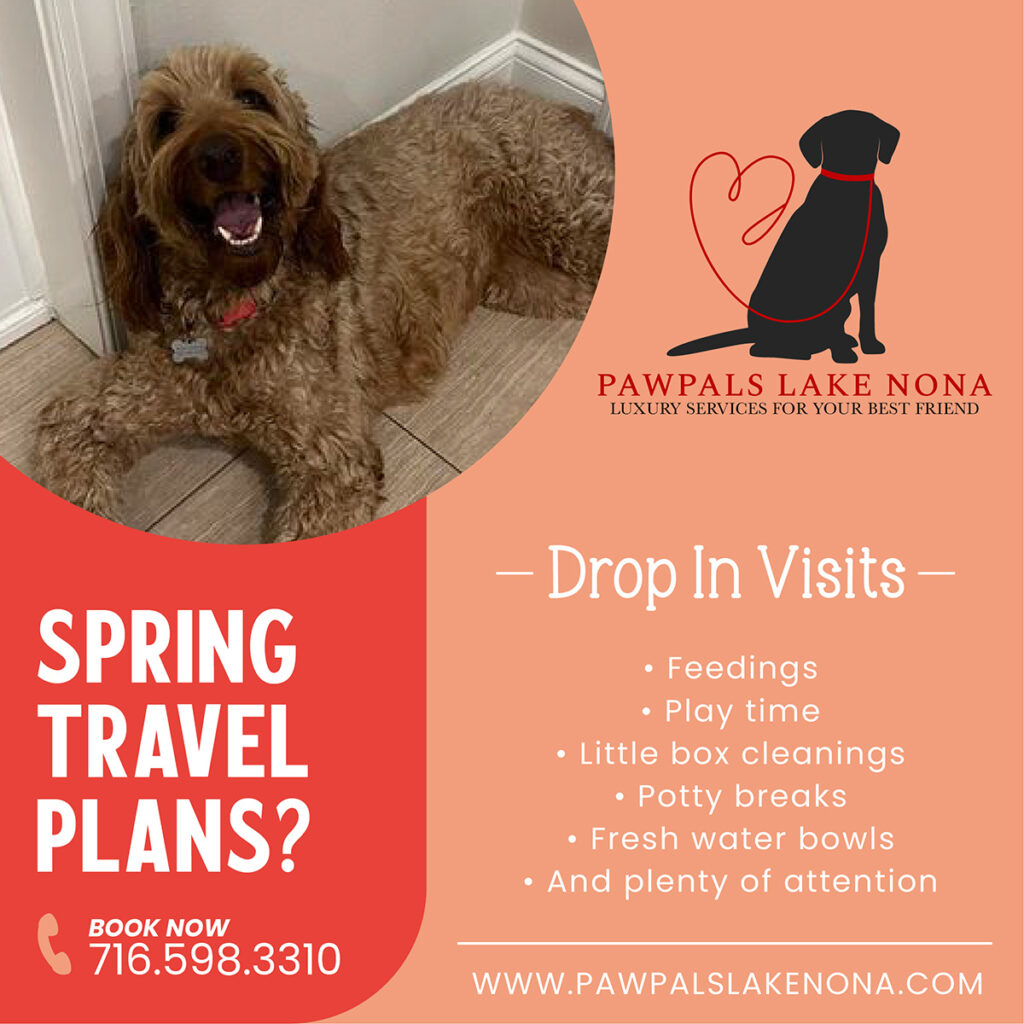 If you have spring travel plans, let PawPals Lake Nona care for your pets with professional drop in visits while you're away.