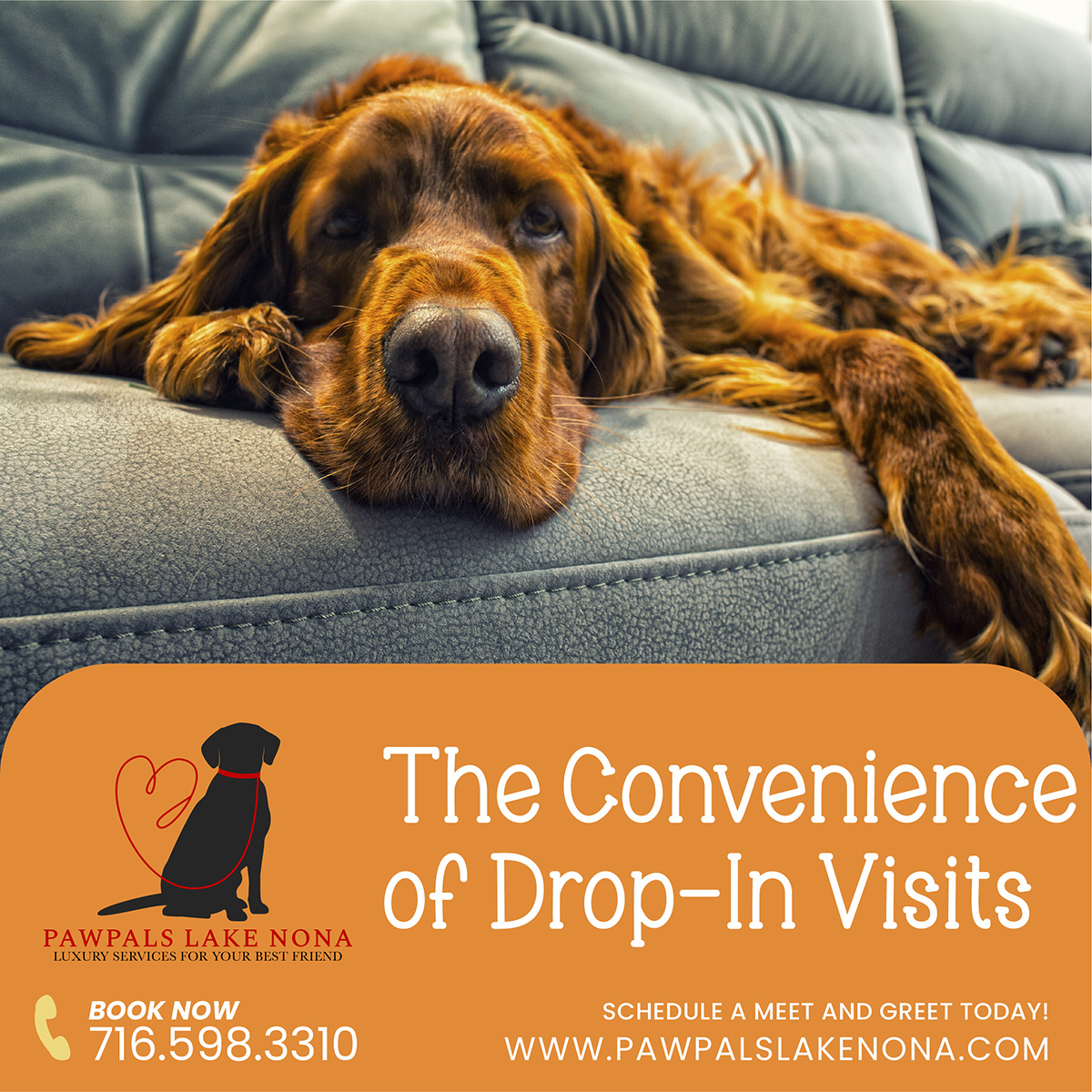 Hiring professional pet care like PawPals Lake Nona for a drop-in visit provides a convenient way to ensure your pets cared for when you can't find the time in your schedule to do so.