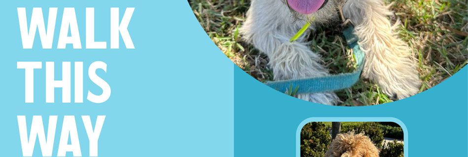 At PawPals Lake Nona we understand your dog's needs during a hot weather walk around Lake Nona.