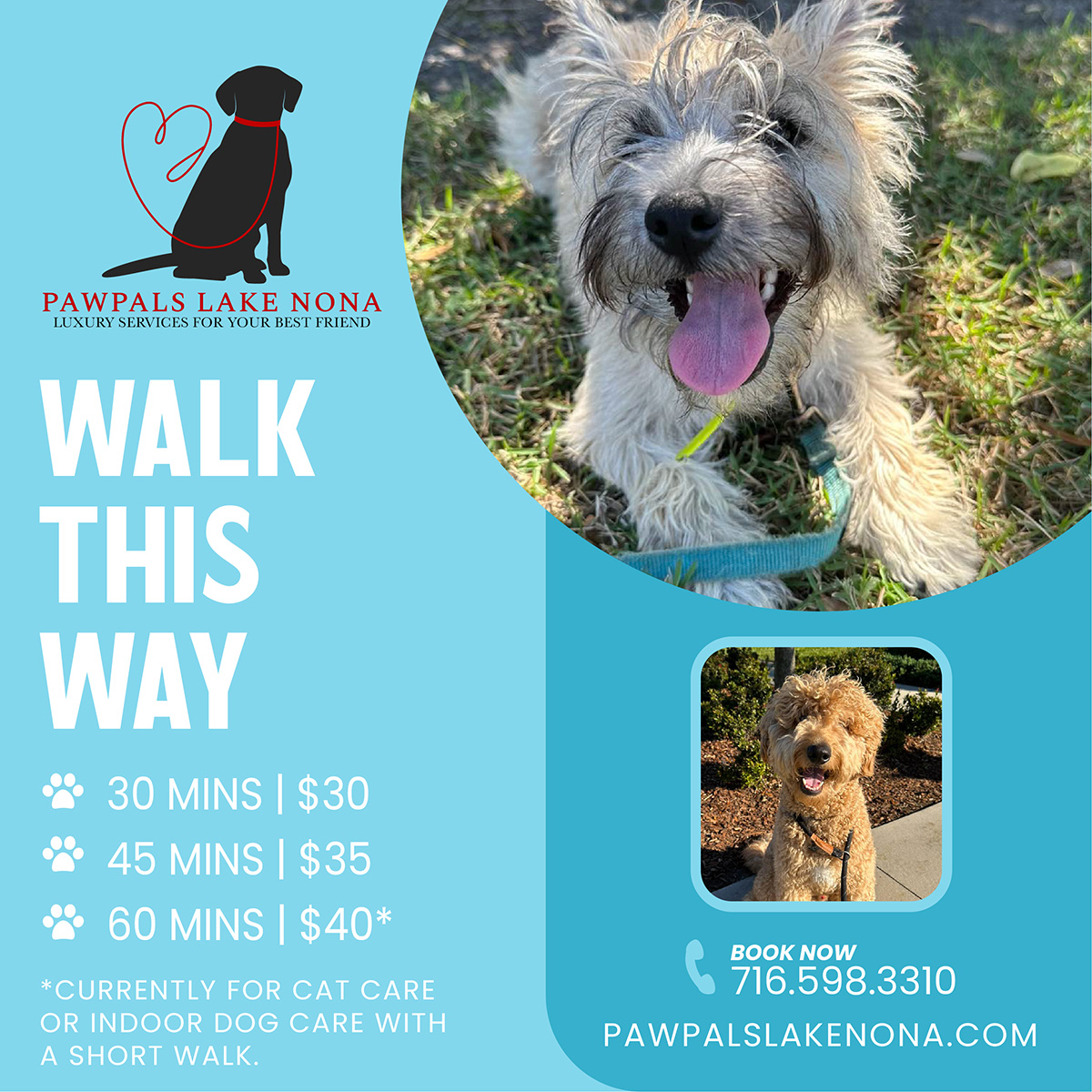 At PawPals Lake Nona we understand your dog's needs during a hot weather walk around Lake Nona.