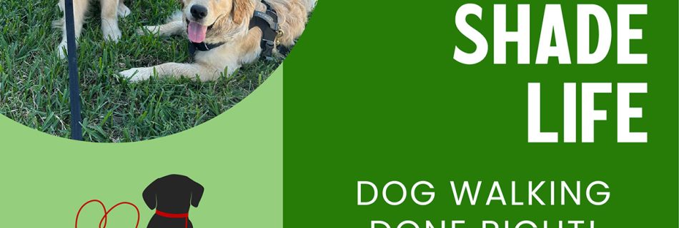 Let PawPals Lake Nona's professional dog walkers safely walk with your furever friend in this spring heat.