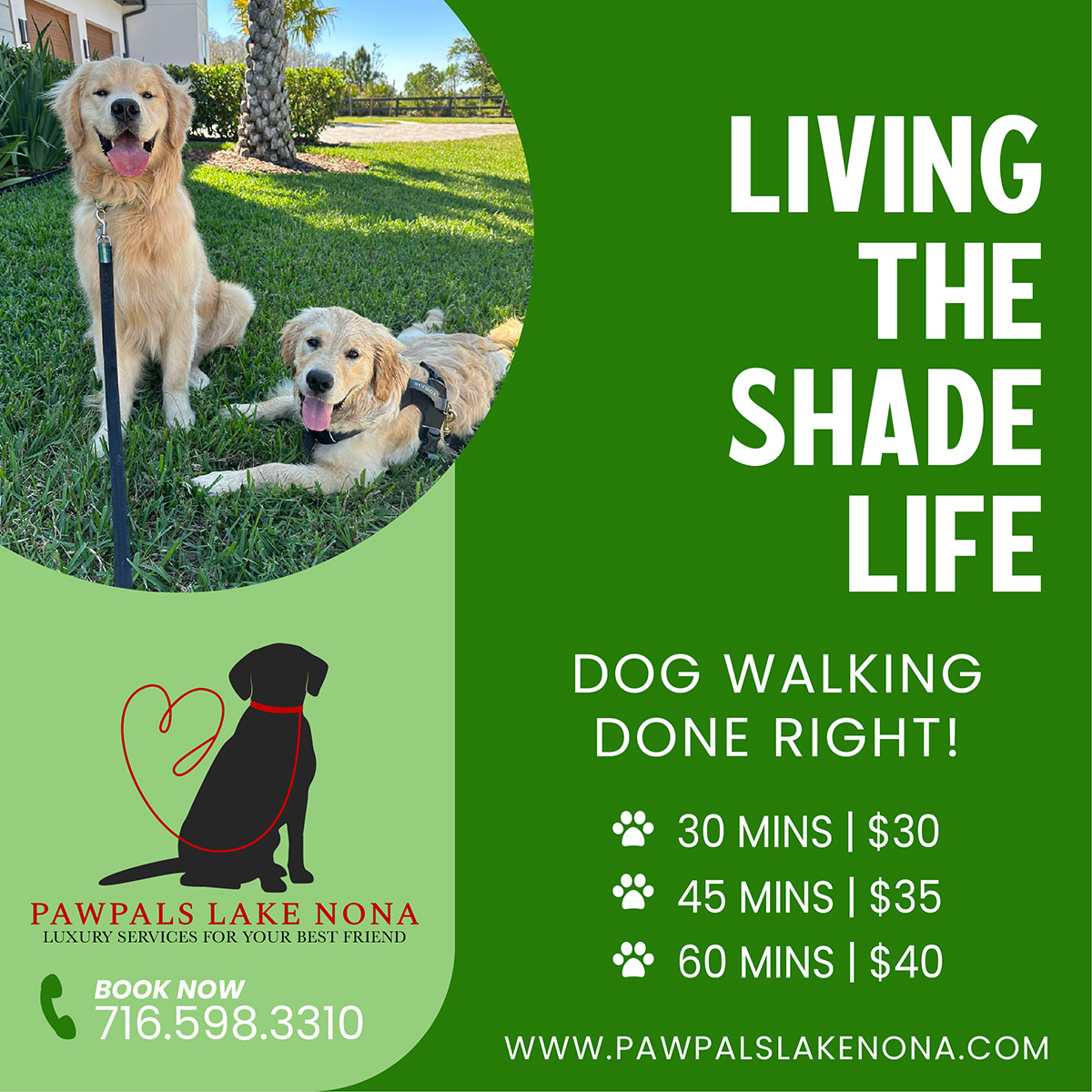 Let PawPals Lake Nona's professional dog walkers safely walk with your furever friend in this spring heat.