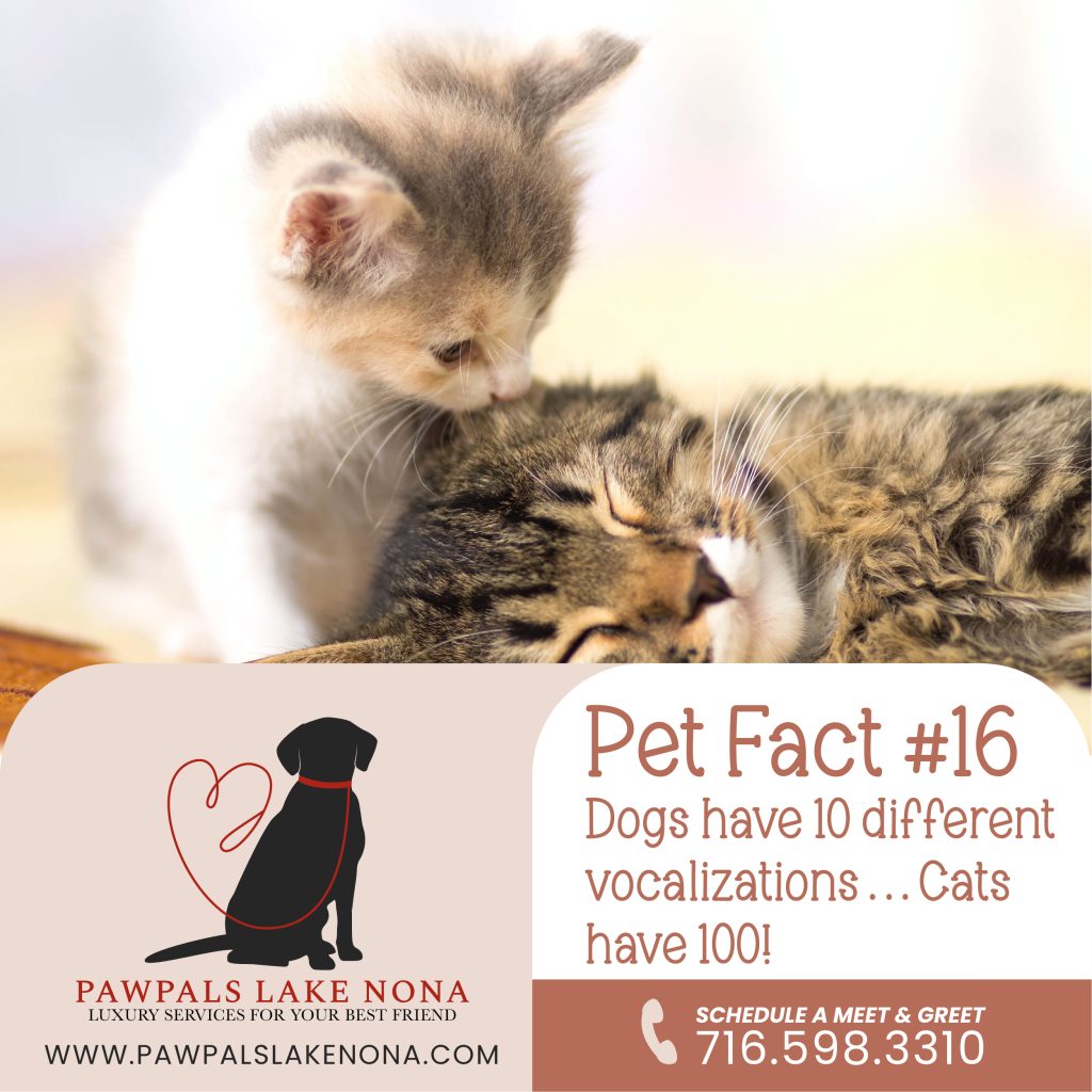 Pet Fact #16: Dogs have 10 different vocalizations . . . Cats have 100!